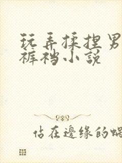 玩弄揉捏男总裁裤裆小说封面
