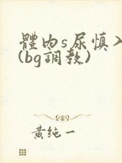 体内s尿慎入h(bg调教)
