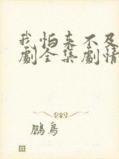 我怕来不及电视剧全集剧情介绍