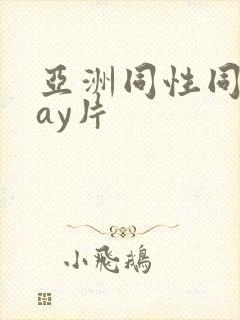 亚洲同性同志gay片
