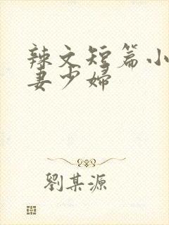 辣文短篇小说人妻少妇
