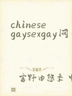 chinesegaysexgay网站