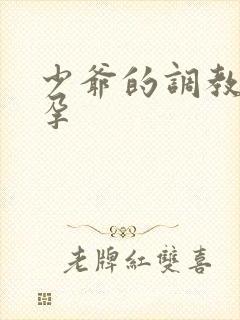 少爷的调教h虐孕