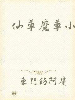 仙尊魔尊小说
