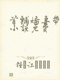首辅娇妻带球跑小说免费