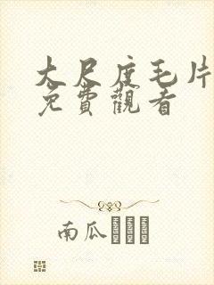 大尺度毛片在线免费观看