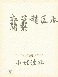 郭荣赵匡胤什么关系