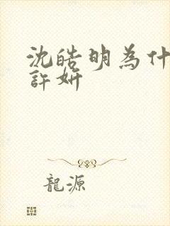 沈皓明为什么娶许妍