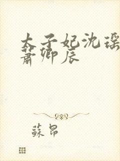 太子妃沈瑶太子萧卿辰