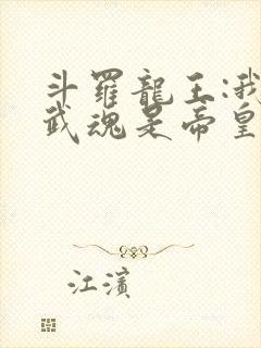 斗罗龙王:我的武魂是帝皇铠甲免费阅读