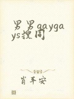 男男gaygays搜同