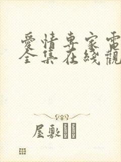 爱情专家电视剧全集在线观看
