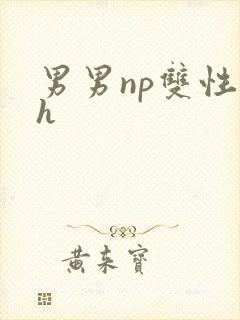 男男np双性高h封面