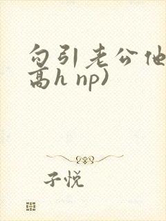 勾引老公他哥(高h np)封面