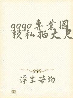 gogo专业国模私拍大尺度