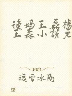 后妈王磊杨晓芬王森小说免费阅读封面