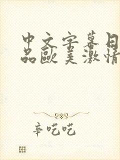 中文字幕日韩精品欧美激情封面