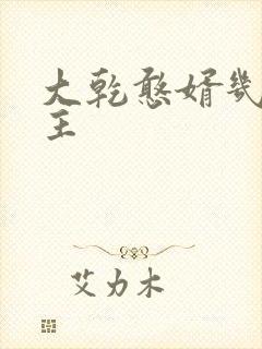 大乾憨婿几个女主