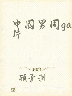 中国男同gay片
