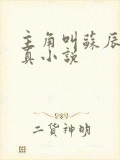 主角叫苏辰的修真小说