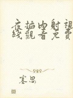 夜插内射视频在线观看免费