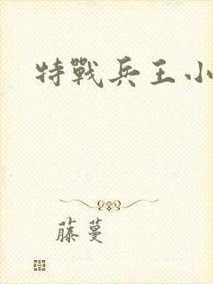 特战兵王小说封面