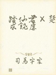 踏仙君×楚晚宁求饶虐