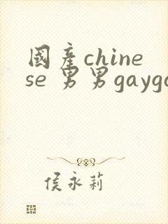 国产chinese 男男gaygay