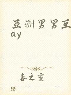 亚洲男男互操gay