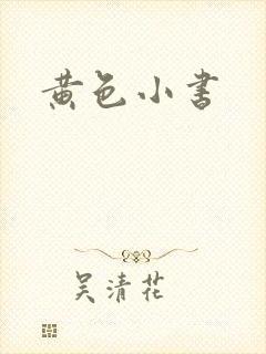 黄色小书封面