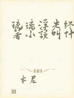 琉璃浮光终散原著小说叫什么