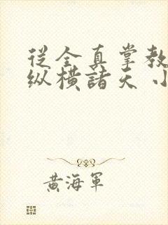 从全真掌教开始纵横诸天 小说封面