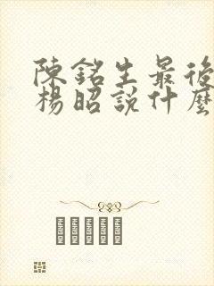 陈铭生最后想对杨昭说什么