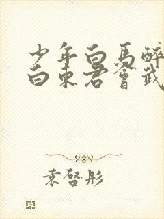 少年白马醉春风白东君会武功吗封面