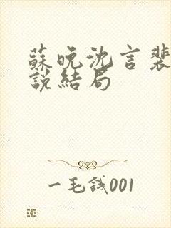 苏晚沈言裴哲小说结局