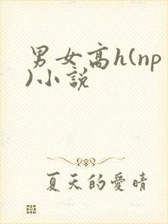 男女高h(np)小说