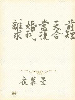 离婚当天前夫跪求我复合短剧女主角