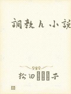 调教 h 小说