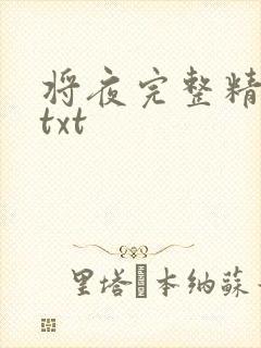 将夜完整精校版txt