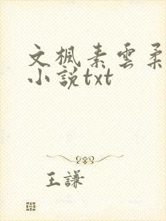 文枫素云柔佳的小说txt封面