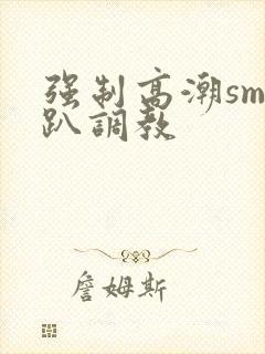 强制高潮sm跪趴调教封面