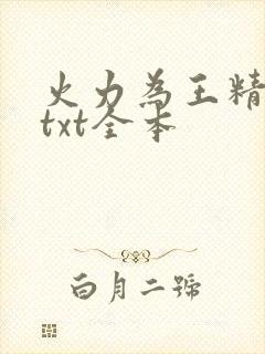 火力为王精校版txt全本