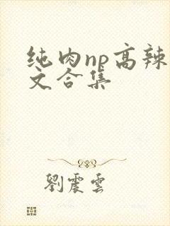 纯肉np高辣h文合集封面