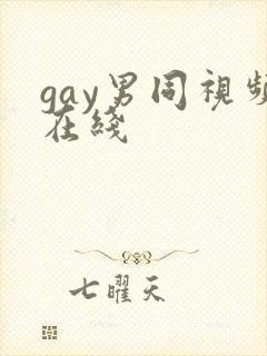 gay男同视频在线封面