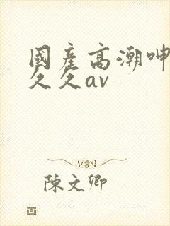 国产高潮呻吟久久久av