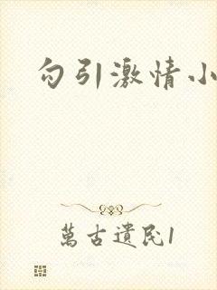勾引激情小说