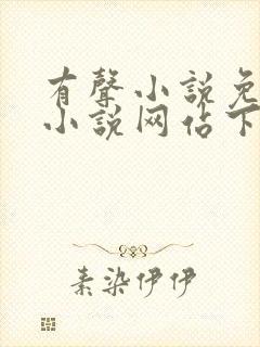 有声小说免费听小说网站下载