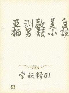 亚洲欧美自偷自拍另类小说