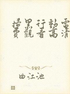 扫黑行动电影免费观看高清完整版