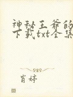 神秘王爷的爱妃下载txt全集